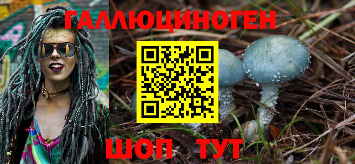 Псилоцибиновые грибы GOLDEN TEACHER  Вход с VPN  Вышний Волочёк  Галлюциногенные грибы прущие грибы 