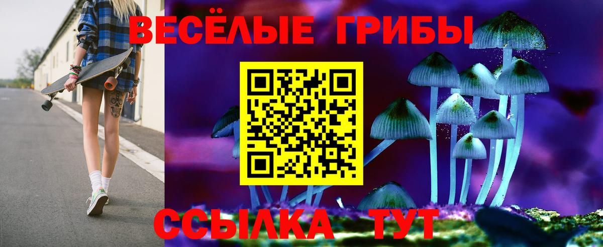 Галлюциногенные грибы Cubensis Вышний Волочёк